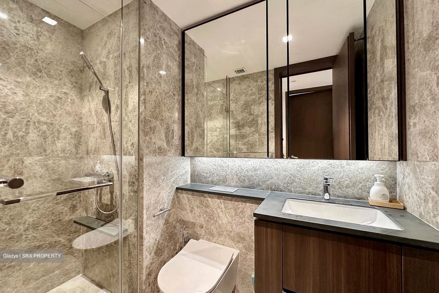 Kopar At Newton (D9), Apartment #502150571